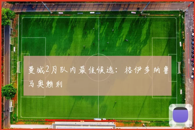曼城2月队内最佳候选：格伊多纳鲁马奥赖利