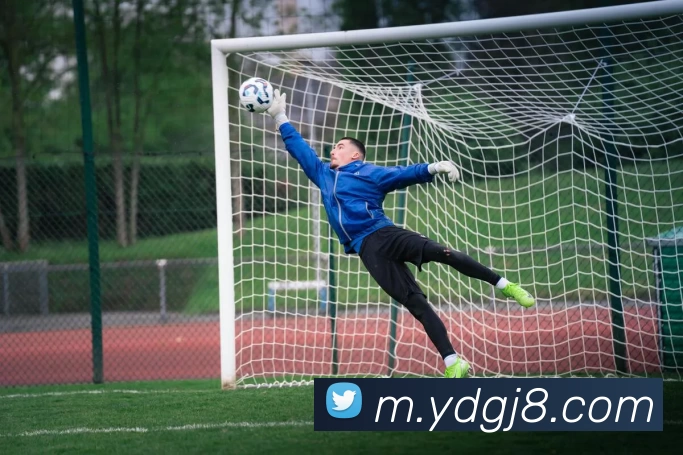 App Interface Preview